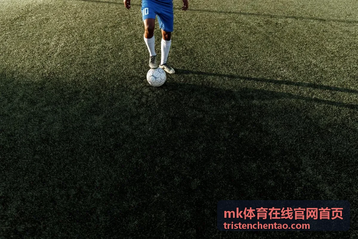 mk体育在线官网首页数据筛选界面截图